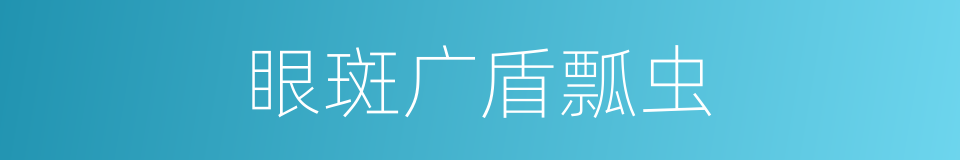 眼斑广盾瓢虫的同义词