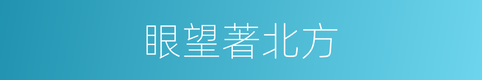 眼望著北方的同義詞