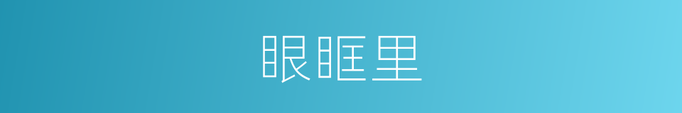 眼眶里的同义词