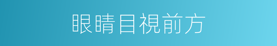 眼睛目視前方的同義詞