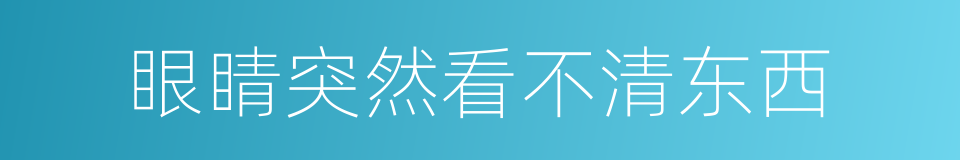 眼睛突然看不清东西的同义词