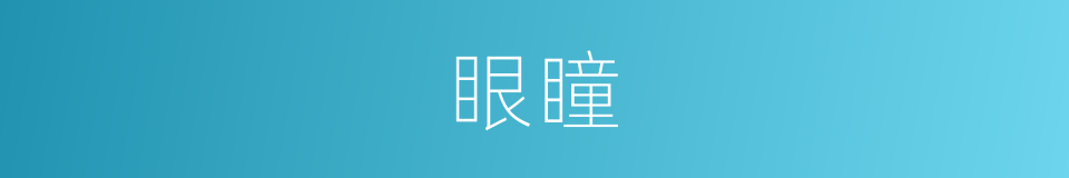 眼瞳的意思