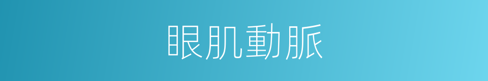 眼肌動脈的同義詞