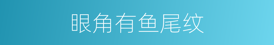 眼角有鱼尾纹的同义词