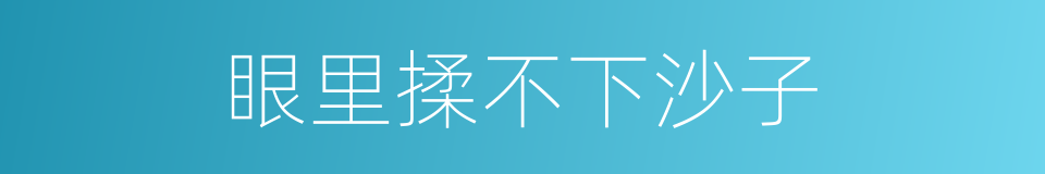 眼里揉不下沙子的意思