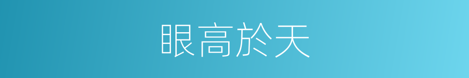 眼高於天的同義詞