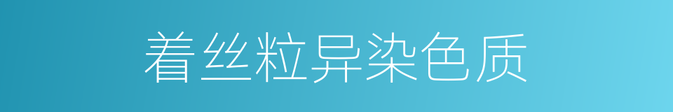 着丝粒异染色质的同义词