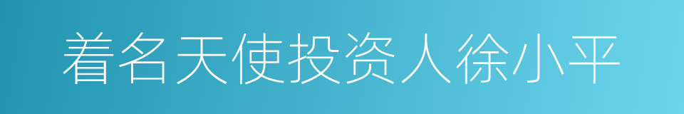 着名天使投资人徐小平的同义词