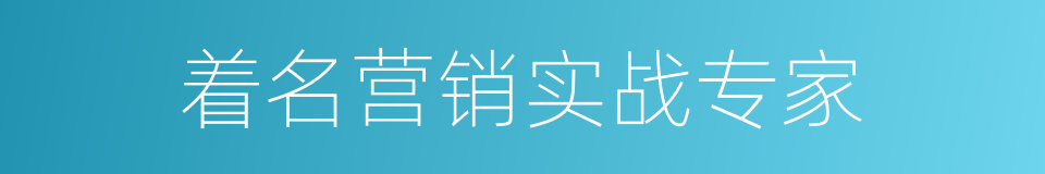 着名营销实战专家的同义词