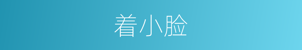 着小脸的同义词