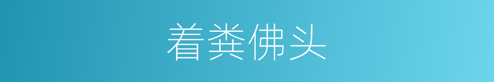着粪佛头的同义词