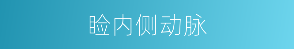 睑内侧动脉的同义词