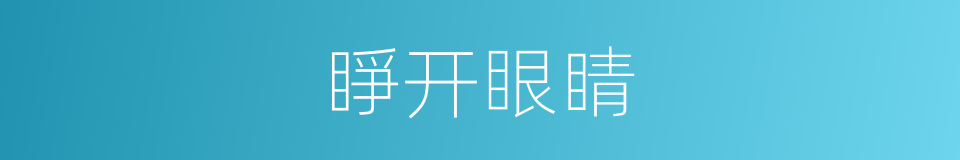睜开眼睛的同義詞