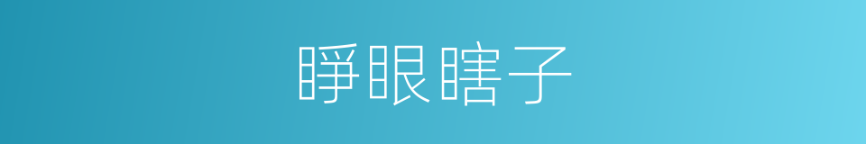 睜眼瞎子的意思