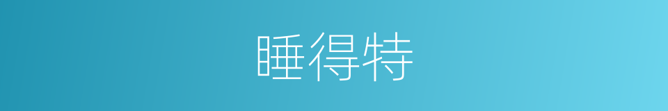 睡得特的同义词