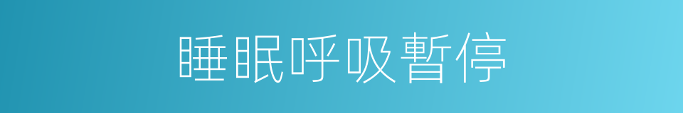 睡眠呼吸暫停的同義詞
