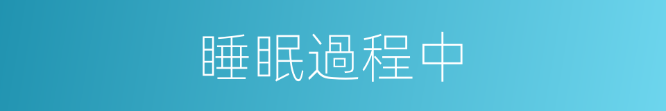 睡眠過程中的同義詞