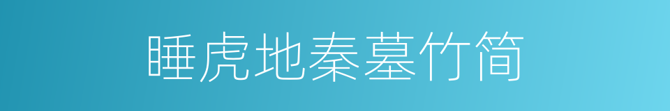 睡虎地秦墓竹简的同义词