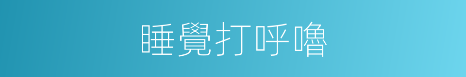 睡覺打呼嚕的同義詞