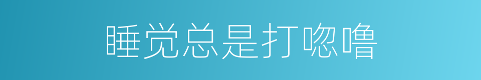 睡觉总是打唿噜的同義詞