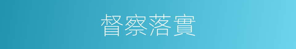 督察落實的同義詞