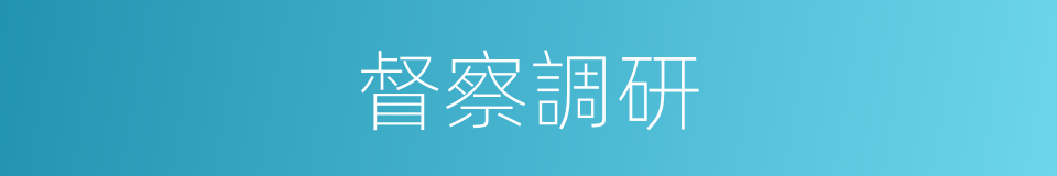 督察調研的同義詞