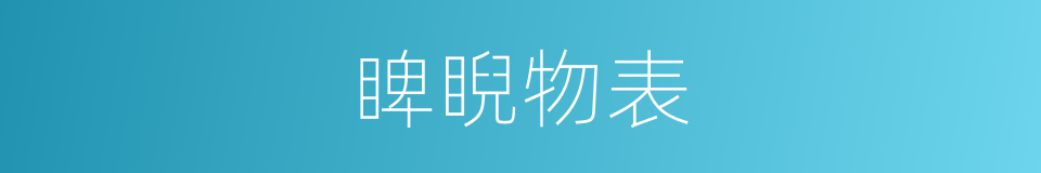 睥睨物表的意思