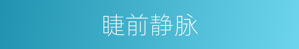 睫前静脉的同义词
