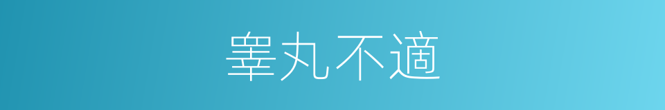 睾丸不適的同義詞