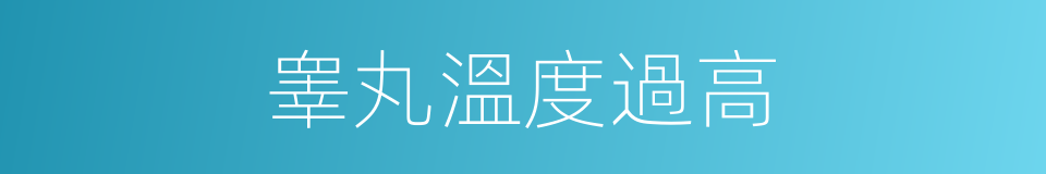 睾丸溫度過高的同義詞