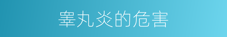睾丸炎的危害的同义词
