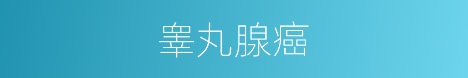 睾丸腺癌的同义词