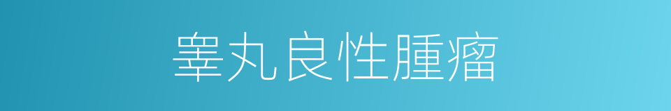 睾丸良性腫瘤的同義詞