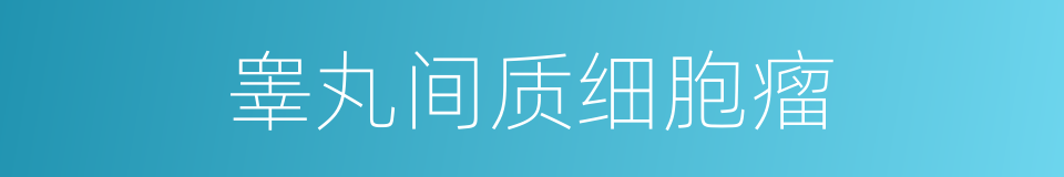 睾丸间质细胞瘤的同义词