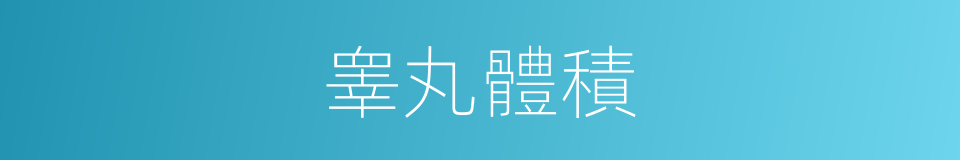 睾丸體積的同義詞