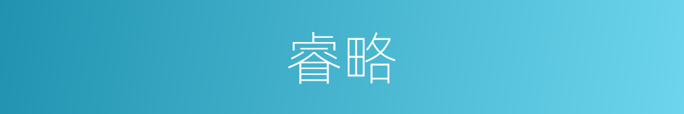 睿略的意思