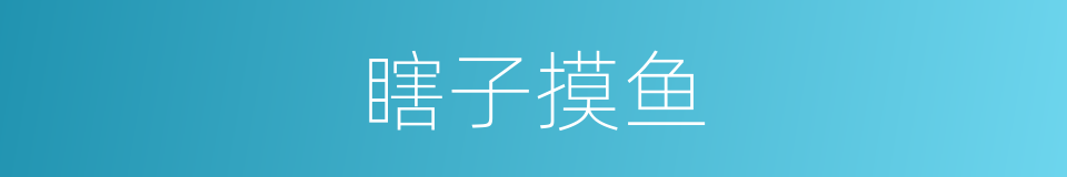 瞎子摸鱼的意思