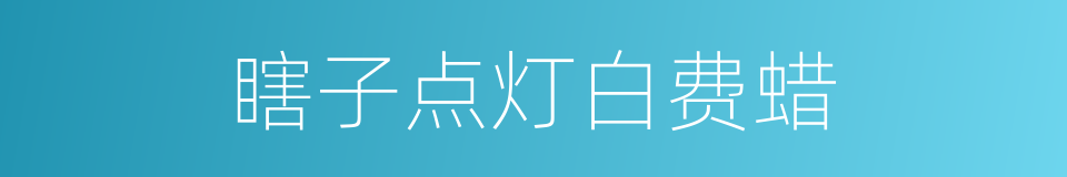 瞎子点灯白费蜡的同义词