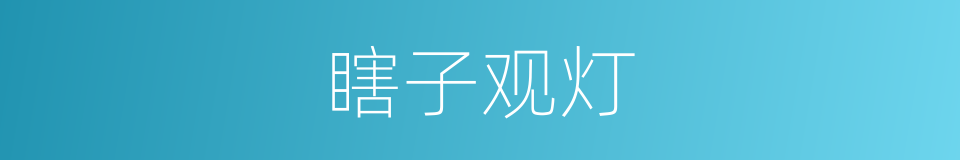 瞎子观灯的同义词