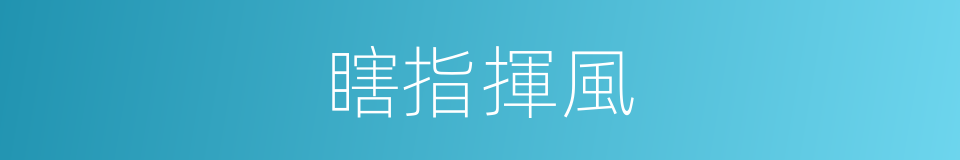 瞎指揮風的同義詞