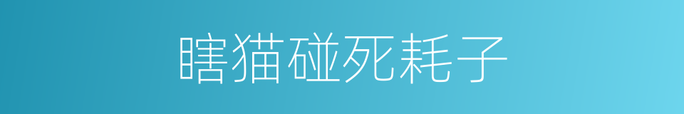 瞎猫碰死耗子的意思