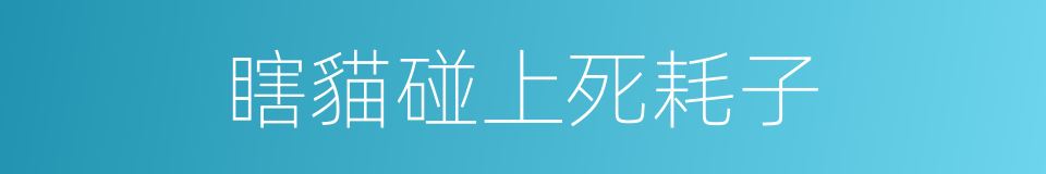 瞎貓碰上死耗子的同義詞