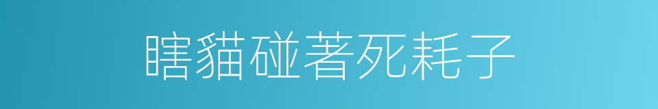 瞎貓碰著死耗子的同義詞