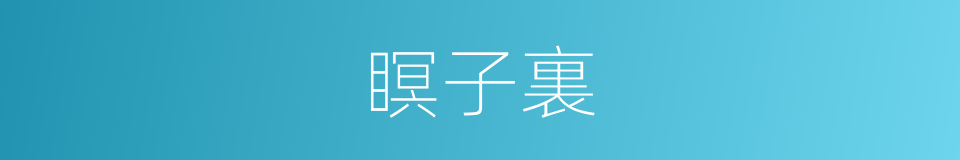 瞑子裏的意思