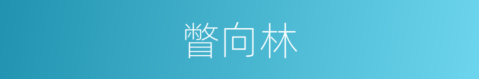 瞥向林的同义词