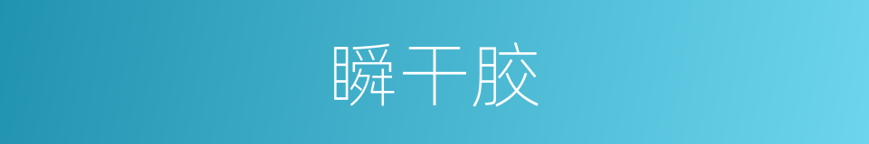 瞬干胶的同义词