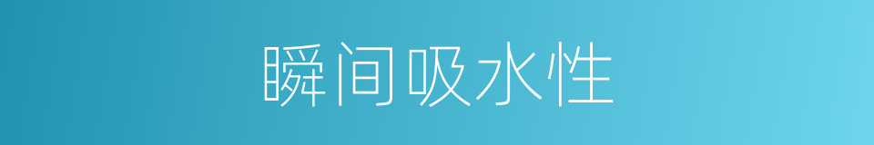 瞬间吸水性的同义词