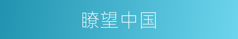 瞭望中国的同义词