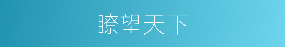 瞭望天下的同义词