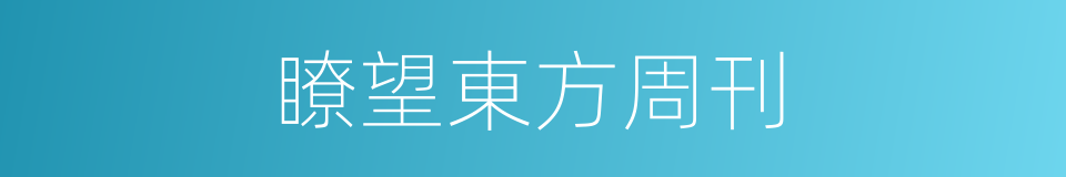 瞭望東方周刊的同義詞